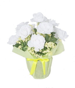 zCg[YAW[MRS12-02001]| tFCNO[ lHA fR[V Xܑ   t  ΂ KN t[AWyCxgpi AWg 