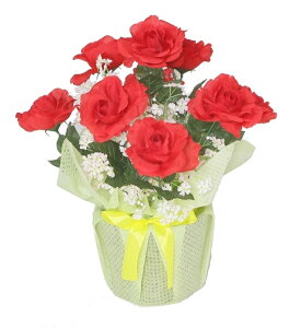 bh[YAW[MRS12-02005]| tFCNO[ lHA fR[V Xܑ   t  ΂ o KN [Y t[AWyCxgpi AW