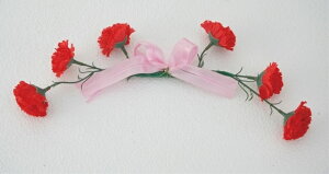 ySETzJ[l[VnK[i6Zbgj[MRS12-03005]| tFCNO[ lHA fR[V Xܑ  t  J[l[V ̓ nK[yCxgpi fB