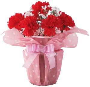 J[l[VhbgbvAW[MRS17-03407]| tFCNO[ lHA fR[V Xܑ   t  J[l[V ̓ t[AWyCxg