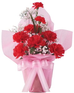 J[l[V|bg[MRS17-03408]| tFCNO[ lHA fR[V Xܑ   t  J[l[V ̓ |bgyCxgpi AWg 