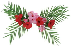 nCrXJXVnK[[MRS12-07309]| tFCNO[ lHA fR[V Xܑ   t  nCrXJX V nK[yCxgpi AWg