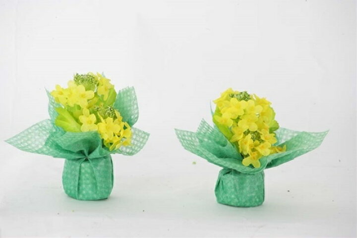 楽天市場 Set 菜の花ラップアレンジ 2個入り ３セット Mrs13 造花 フェイクグリーン 人工植物 デコレーション 店舗装飾 飾り 飾りつけ 飾り付け フラワーアレンジ 菜の花 造花装飾専門店 緑花堂