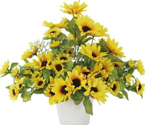 Ђ܂AW[MRS13-04407]| tFCNO[ lHA fR[V Xܑ   t  Tt[ Ђ܂ q}  CG[yCxgpi A