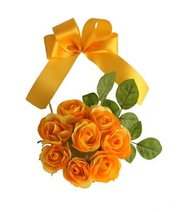 [YǊ|AWY[MRS14-02508]| tFCNO[ lHA fR[V Xܑ   t  ΂ o KN [Y t[AWyCxgpi AW