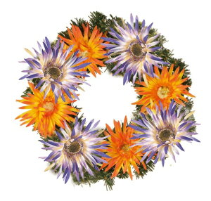 K[x[XO/V[MRS14-02604]| tFCNO[ lHA fR[V Xܑ   t  K[x [X IW oCIbgyCxgpi AWg