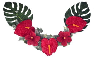 gsJXbO[MRS16-09005]| tFCNO[ lHA lHϗtA fR[V Xܑ   t gsJ  T}[yAWg CeAt