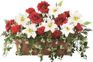 JTuJ[YAW[MRS17-01401]| tFCNO[ lHA fR[V Xܑ   t  ΂ o KN [Y JTuJyCxgpi AW