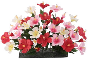 nCrXJXAW[MRS177409405]| tFCNO[ lHA fR[V Xܑ   t  nCrXJXyCxgpi AWg CeA z