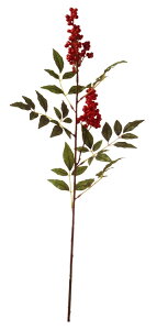 正月 花 南天 観葉植物の人気商品 通販 価格比較 価格 Com
