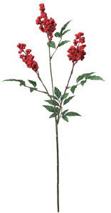 正月 花 南天の人気商品 通販 価格比較 価格 Com 正月 花 南天の人気商品 通販 価格比較 価格 Com