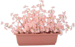 v^[[MRS19-00307]| tFCNO[ lHA fR[V Xܑ   t t[AW Ԍ  TN XvO v^[yCxgpi A