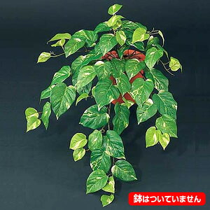 70cm |gXubV(68) [ONSLEBU1596] | t[ tFCN lHϗtA [t  fR[V  Cxg p[eB[ t[AWg Xܑ tFCNO[ K[