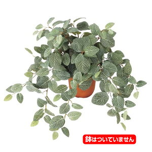 50cm tBbgjAubV(174) [ONSLEBU7619] |lHϗtA tFCNO[   fR[V t Xܑ fBXvC  CeA t[AWg |gX