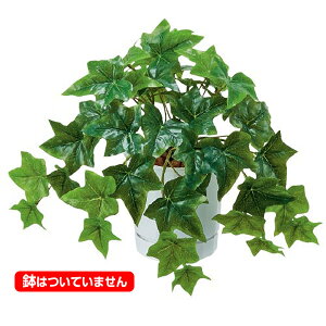 30cm CObVACr[ubV(43) [ONSLEBU7685]| t[ tFCN lHϗtA [t  fR[V  Cxg p[eB[ t[AWg Xܑ tFCN