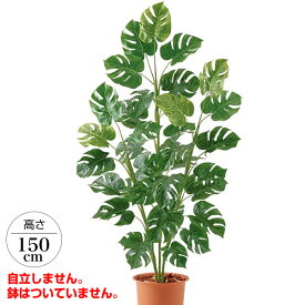 150cm スプリットフィロツリー[ONSLETR7676] 光触媒スプレープレゼント 代引決済不可 送料無料 |人工観葉植物 フェイクグリーン 造花 装飾 飾り付け 店舗装飾 ディスプレイ 室内装飾 インテリア 大型ツリー おしゃれ