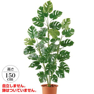 150cm XvbgtBc[[ONSLETR7676] G}Xv[v[g ϕs  |lHϗtA tFCNO[   t Xܑ fBXvC  CeA 