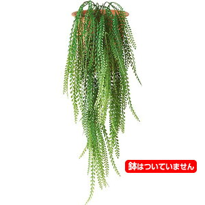 80cm RjAoC [ONSLEVI7578] |lHϗtA  tFCNO[   t fR[V  Cxg p[eB[ t[AWg ԍ CeA Xܑ fBX