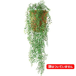 80cm X[s[[toC [ONSLEVI7579] |lHϗtA  tFCNO[   t fR[V  Cxg p[eB[ t[AWg ԍ CeA Xܑ