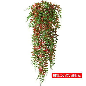 80cm bhO[x[J[t@[oC [ONSLEVI7582] |lHϗtA  tFCNO[   t fR[V  Cxg p[eB[ t[AWg CeA 