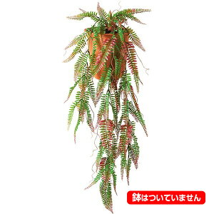 85cm bhO[U[t@[oC[ONSLEVI7584] |lHϗtA  tFCNO[   t fR[V  Cxg p[eB[ t[AWg CeA X