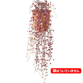 85cm レッドボタンファーンバイン [ONSLEVI7585] |人工観葉植物 造花 フェイクグリーン 資材 装飾 飾付 デコレーション 飾り イベント パーティー フラワーアレンジメント 花材 インテリア 店舗装飾 ディスプレイ 室内装飾 飾り付け ガーランド 吊り下げ鉢植え ツル 吊るす