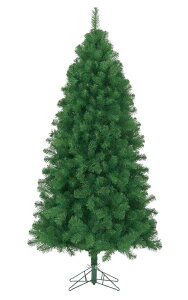 h210cmm[upCc[(qW)x900 [ONSPATR61078]ϕs  |lHϗtA ^ A[gt[  tFCNO[ A  t Cxg p[eB[ Xܑ fB