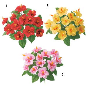 j[nCrXJXubV(12) [ONSFLBU3742]  AWgp[c ubV t[Mtg nhCh K[fjOpi fBXvC i`AW