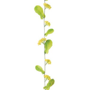 V؂̉ԃK[h(11/11) [ONSFLGA1717] AWgp[c ubV t[Mtg nhCh K[fjOpi fBXvC a_ i`AW