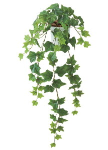 CObVACr[ubV(100) [ONSLEBU7687] ACr[ |gX O[v CgO[EubV oC AWgp[c t[Mtg LEAF K[fjOpi fBXvC