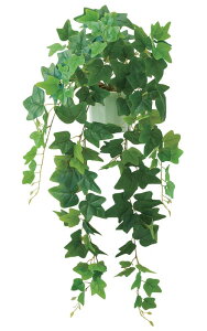 CObVACr[ubV(152) [ONSLEBU7689]ACr[ |gX O[v CgO[EubV oC AWgp[c t[Mtg LEAF K[fjOpi fBXvC