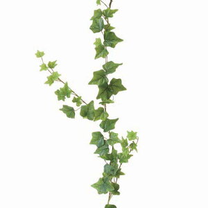 CObVACr[K[h(117/C[) [ONSLEGA7662] ACr[ |gX CgO[EK[h@AWgp[c t[Mtg LEAF K[fjOpi