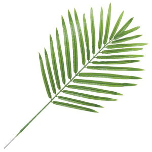 CgO[tFjbNXp[[t(26) [ONSLESP3894]CgO[Ep[[t CeAO[ AWgp[c t[MtgLEAF K[fjOpi fBXvC