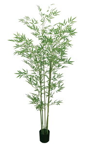 180cmV|c[(i`gN) [ONSLETR7693] CgO[E|c[ CeAO[ AWgp[c t[Mtg nhCh K[fjOpi fBXvC