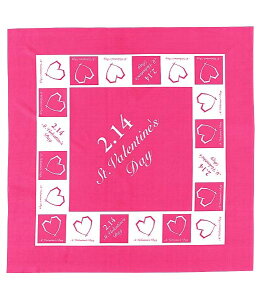 100cm XEB[gn[gNX [ONSDEMI9399] |lHϗtA  tFCN  t  G fR[V  Cxg p[eB[ t[AWg CeA Xܑ fBXv