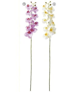 90cm t@mvVX(12) [ONSFLSP7844] |lHϗtA A[gt[  t[ tFCNO[  t  fR[V  Cxg p[eB[ t[AWg Xܑ