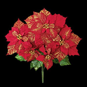 55cm xxbgS[WX|CZ`AubV(5) [ONSFLBU6732] | tFCN lHϗtA NX}X  fR[V K[h I[ig  Cxg p[eB[ t[A