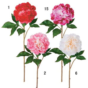 55cm {^(1/2) [ONSFLSP1922] |lHϗtA A[gt[  tFCNO[  t fR[V  Cxgpi p[eB[ t[AWg CeA Xܑ fB