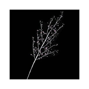 65cm NX^x[XvC [ONSLESP6550] | tFCN lHϗtA NX}X  fR[V K[h I[ig  Cxg p[eB[ t[AWg Xܑ