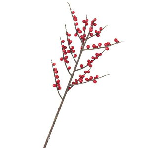 50cm bhx[XvC(95) [ONSLESP6666] | tFCN lHϗtA NX}X  fR[V K[h I[ig  Cxg p[eB[ t[AWg  } t 