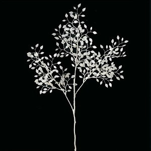 75cm VCj[zCg[tXvC [ONSLESP6865] | tFCN lHϗtA NX}X  fR[V K[h I[ig  Cxg p[eB[ t[AW