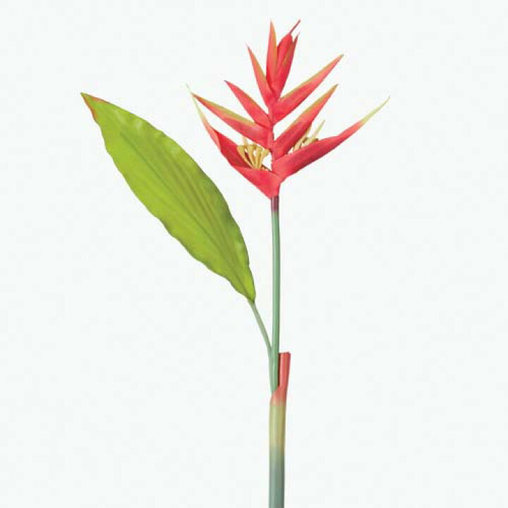 楽天市場 90cm ヘリコニア 1 Onsflsp3931 人工観葉植物 アートフラワー 造花 フラワー フェイクグリーン 装飾 飾付 小物 デコレーション 飾り イベント パーティー フラワーアレンジメント 店舗装飾 花材 手作り 材料 パーツ ディスプレイ 室内装飾 飾り付け 造花