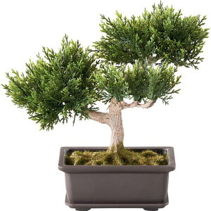 植木 盆栽 用 苔の人気商品 通販 価格比較 価格 Com 植木 盆栽 用 苔の人気商品 通販 価格比較 価格 Com