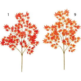 楽天市場 紅葉 飾りの通販 楽天市場 紅葉 飾りの通販