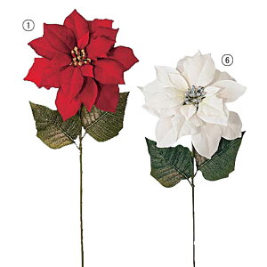 70cm xxbguAg|CZ`A[ONSFLSP6876] |lHϗtA A[gt[  t[ tFCN  t fR[V  Cxg p[eB[ t[AWg C