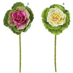 45cm tO [ONSLESP8889] |lHϗtA A[gt[  t[ tFCNO[  t  fR[V  Cxg p[eB[ t[AWg CeA Xܑ