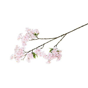 90cm (120) [ONSFLSP1940] |lHϗtA A[gt[  t[ tFCNO[  t  fR[V  Cxg p[eB[ t[AWg Xܑ   