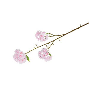 85cm d(3/33) [ONSFLSP1943] |lHϗtA A[gt[  t[ tFCNO[  t  fR[V  Cxg p[eB[ t[AWg Xܑ  