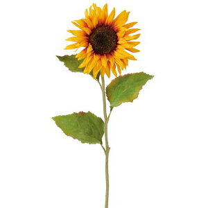 85cm rbOTt[(1/3) [ONSFLSP3936] |lHϗtA A[eBtBVt[  tFCN  t fR[V  Cxg p[eB[ t[AWg CeA 