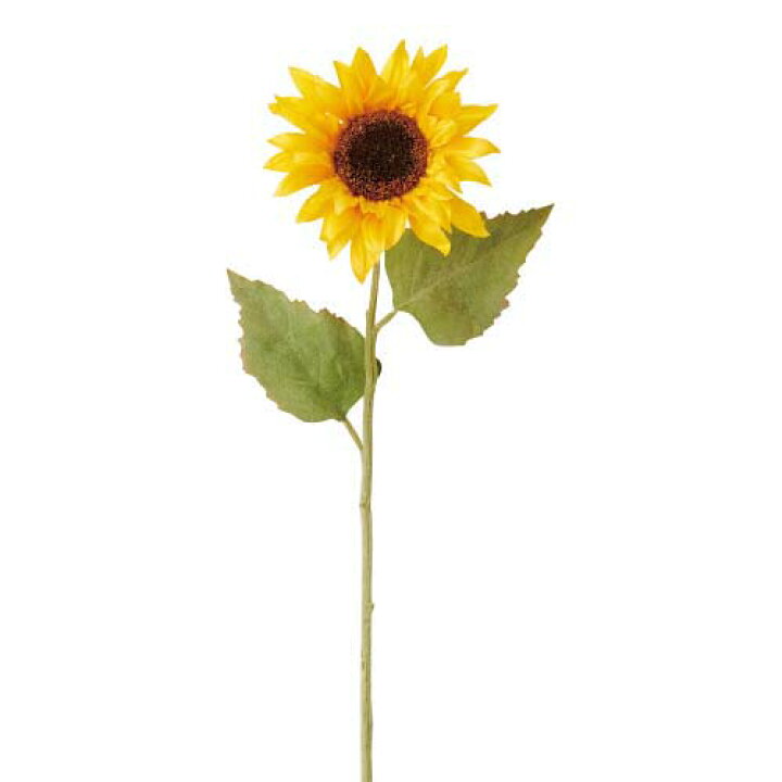 楽天市場 60cm ヒマワリ 1 2 Onsflsp3937 人工観葉植物 アートフラワー 造花 フラワー フェイクグリーン 装飾 飾付 デコレーション 飾り イベント パーティー フラワーアレンジメント インテリア 店舗装飾 ディスプレイ 室内装飾 飾り付け 夏 ひまわり 向日葵 造花